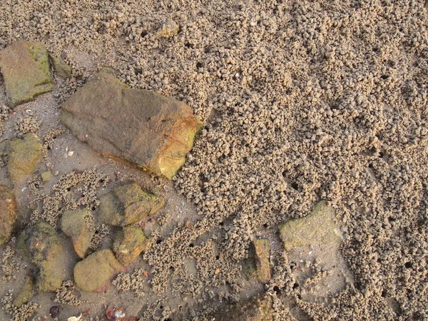 Pedras de seixos junto ao mar — Fotografia de Stock