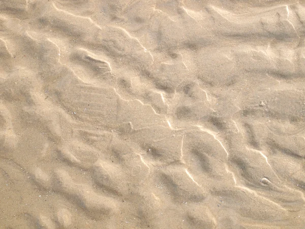 Sand background close up — Stock Photo, Image