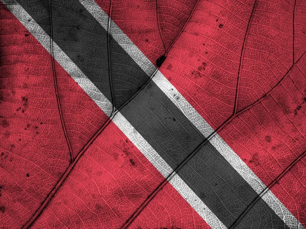Trinidad and Tobago flag leaf texture — Stock Photo, Image