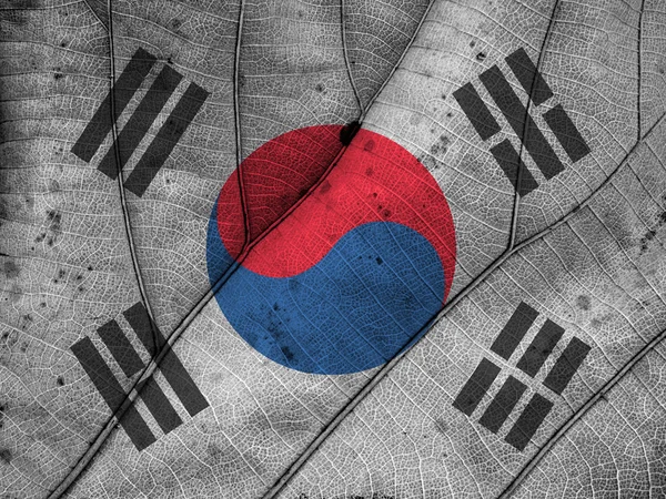 Corea del Sur bandera hoja textura —  Fotos de Stock