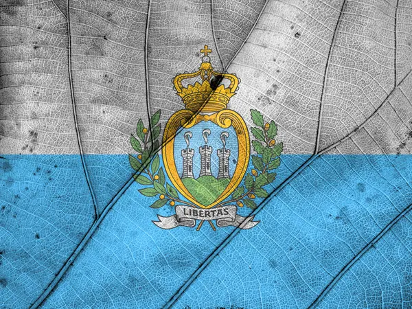 Textura de hoja de bandera de San Marino — Foto de Stock