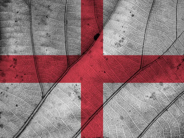 Engeland vlag blad textuur — Stockfoto