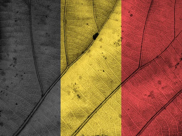 Belgien Flagge Blatt Textur — Stockfoto