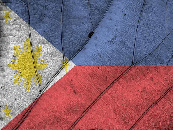 Philippines flag leaf texture — Stock Photo, Image