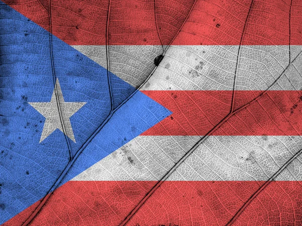 Puerto Rico flaga liść tekstura — Zdjęcie stockowe