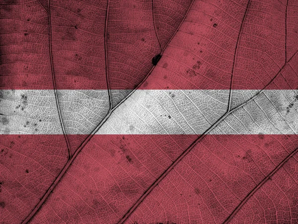 Letónia bandeira folha textura — Fotografia de Stock
