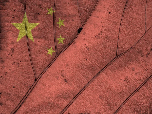 Tekstur daun bendera Cina — Stok Foto