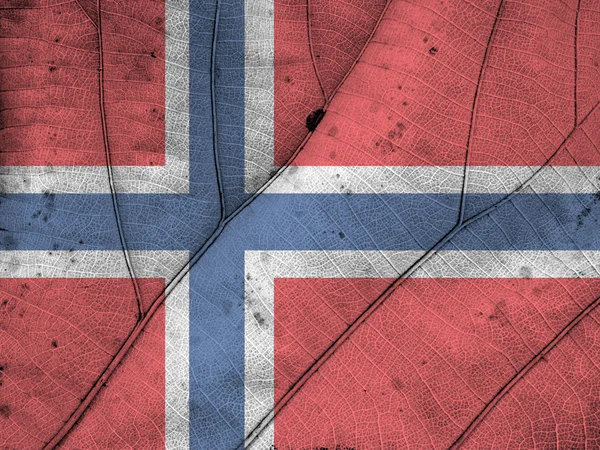 Norway drapeau feuille texture — Photo