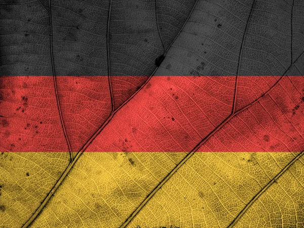 Deutschland flaggenblatt textur — Stockfoto