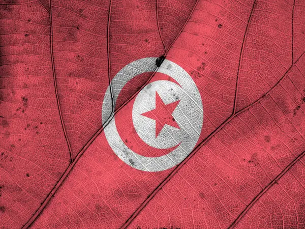 Tunisia flag leaf texture — Stock Photo, Image