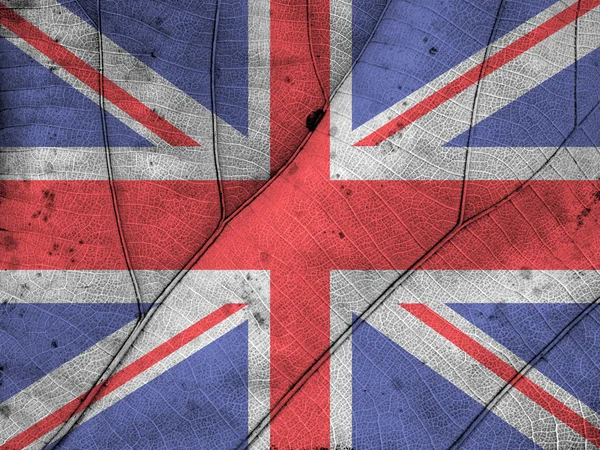 Verenigd Koninkrijk vlag blad textuur — Stockfoto
