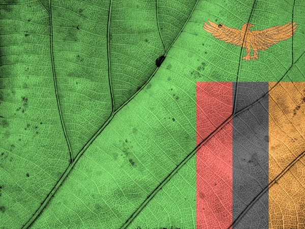 Zambia vlag blad textuur — Stockfoto