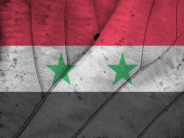 Syria flag leaf texture — Stock Photo, Image
