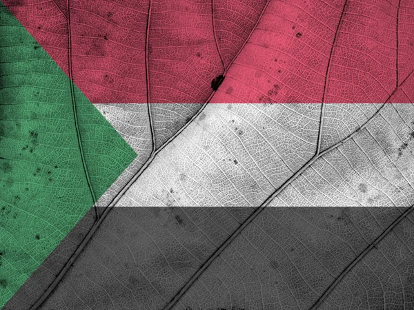 Sudan drapeau feuille texture — Photo