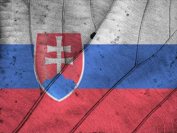 Flaga Słowacji liść tekstura — Zdjęcie stockowe