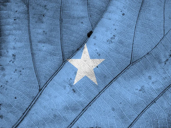 Somalia flagge blatt textur — Stockfoto