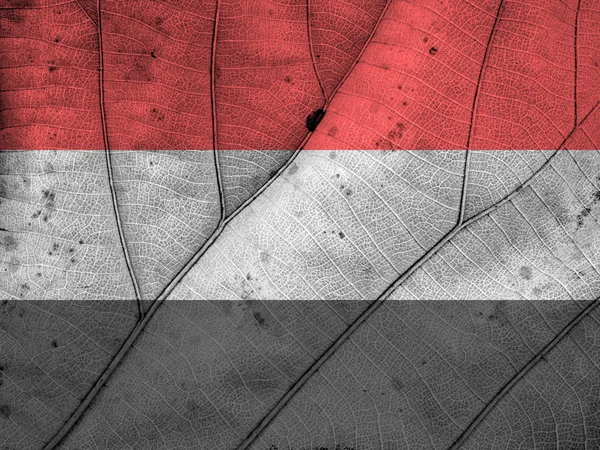 Yemen flag leaf texture — Stock Photo, Image