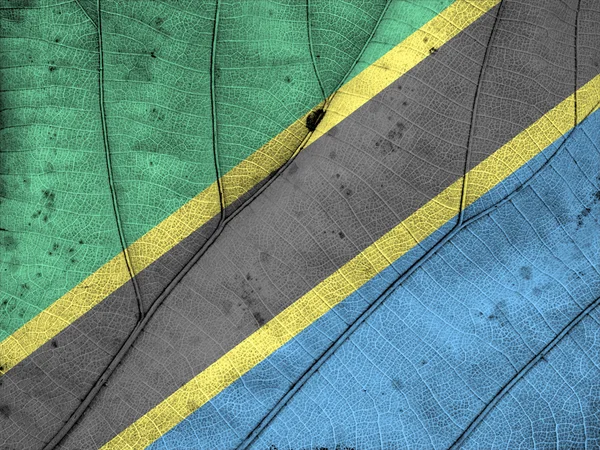 Tanzánia zászló levél textúra — Stock Fotó