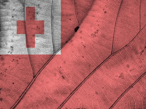 Tonga drapeau feuille texture — Photo