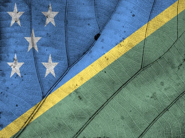 Solomon Islands Flagge Blatt Textur — Stockfoto