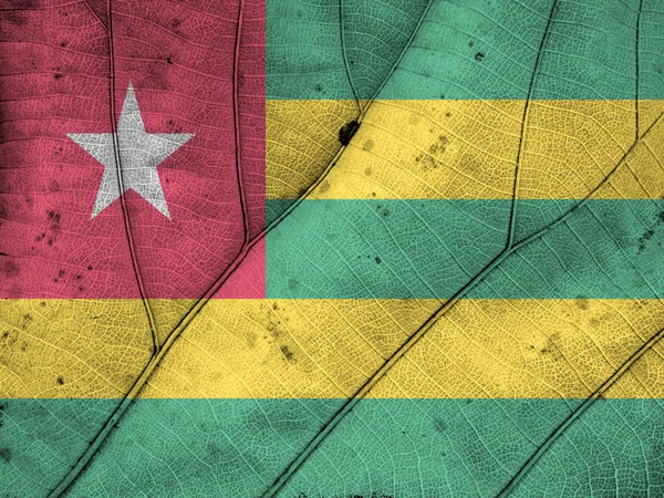 Togo bayrak yaprak doku — Stok fotoğraf