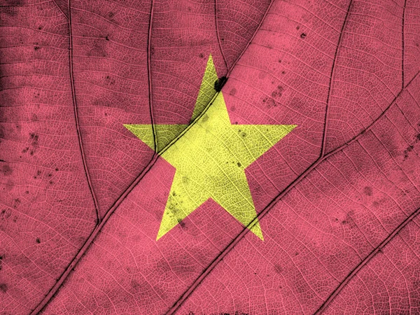 Tekstur daun bendera Vietnam — Stok Foto
