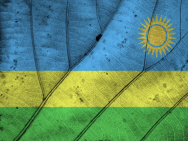 Rwanda flag leaf texture — Stock Photo, Image