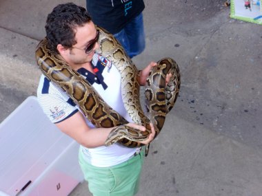 Ratchaburi, Tayland - 16 Nisan 2012: Gezgin pozlar birkaç onun boyun ve kol Damnoen Saduak yüzen Pazar Ratchaburi içinde etrafında sarılı ikamet engerek yılanları ile yakın: Bangkok, Tayland