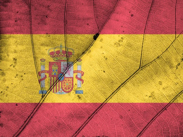 İspanya bayrak yaprak doku — Stok fotoğraf