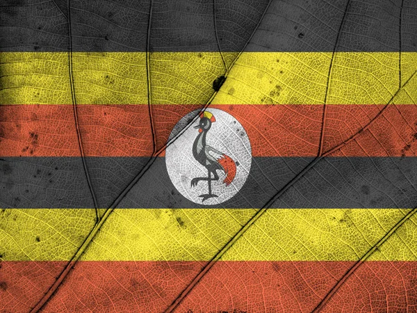 Ugandas Flagge Blatt Textur — Stockfoto