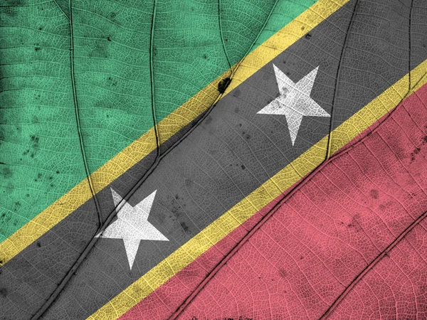 Saint Kitts en Nevis vlag blad textuur — Stockfoto