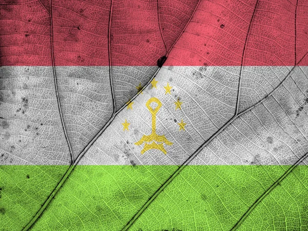 Tajikistan flag leaf texture — Stock Photo, Image