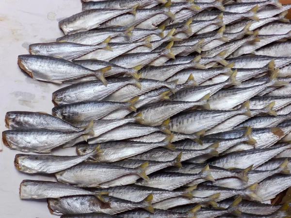 Getrockneter Fisch aus nächster Nähe — Stockfoto