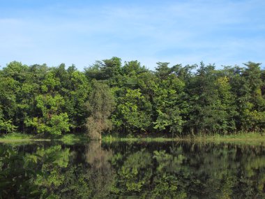 Şehir Parkı küçük bir su birikintisi