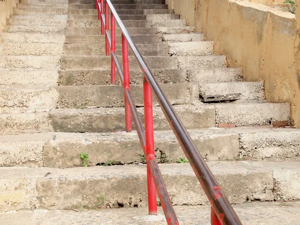 Escaliers dans le jardin — Photo