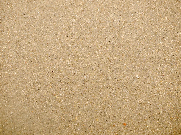 Sand background close up — Stock Photo, Image