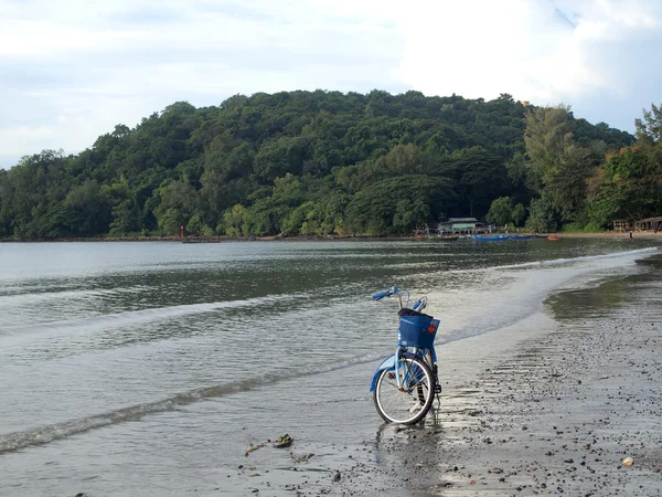 Biciclette in spiaggia — Foto Stock