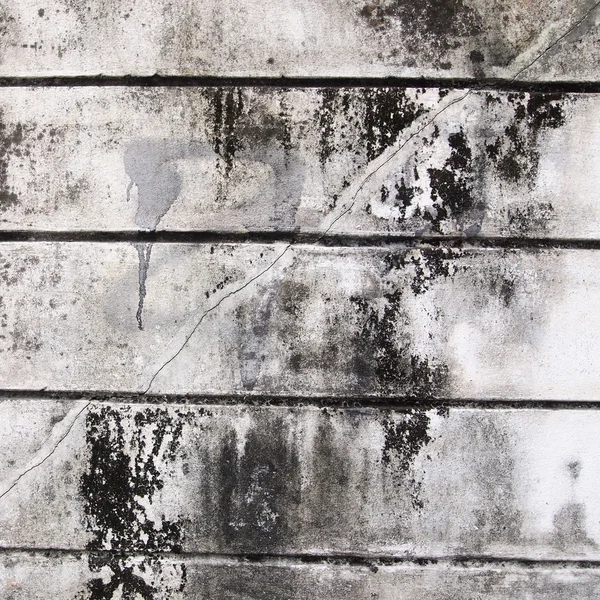 Grunge cementu stěny zblízka — Stock fotografie