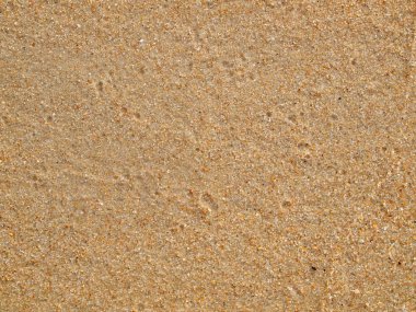 Kum arka plan yakın çekim