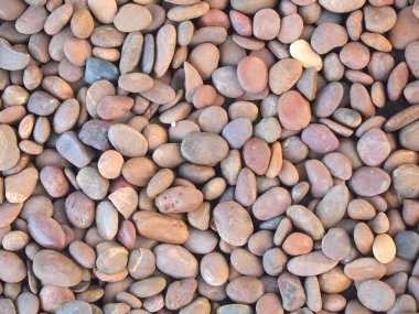 Kuru yuvarlak reeble taşları