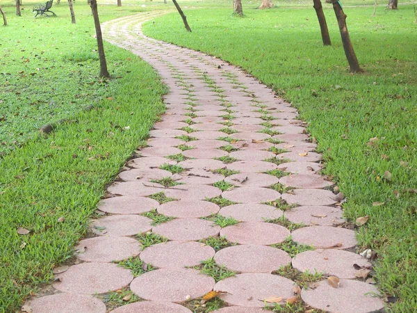 Stone pathway in the graden — Stock Photo, Image