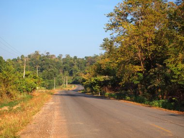 eğri asfalt yol görünümü