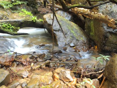 Güzel şelale yakın çekim