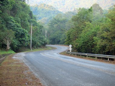 eğri asfalt yol görünümü