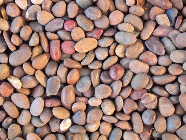Kuru yuvarlak reeble taşları — Stok fotoğraf