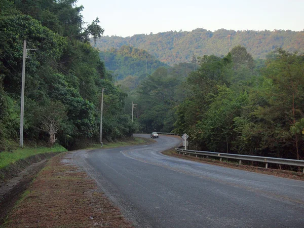 eğri asfalt yol görünümü