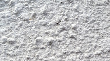 Beyaz duvar arka plan yakın çekim