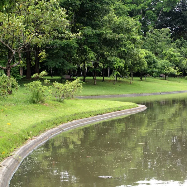 Pantanos en el jardín de la ciudad — Foto de Stock