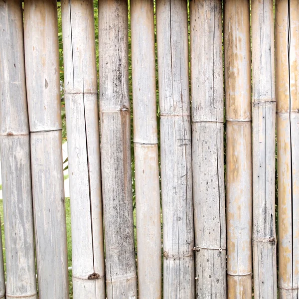 Bambusz kerítés közelről — Stock Fotó