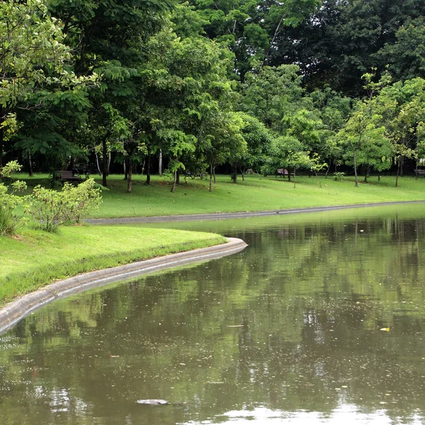 Pantanos en el jardín de la ciudad — Foto de Stock